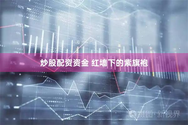 炒股配资资金 红墙下的紫旗袍